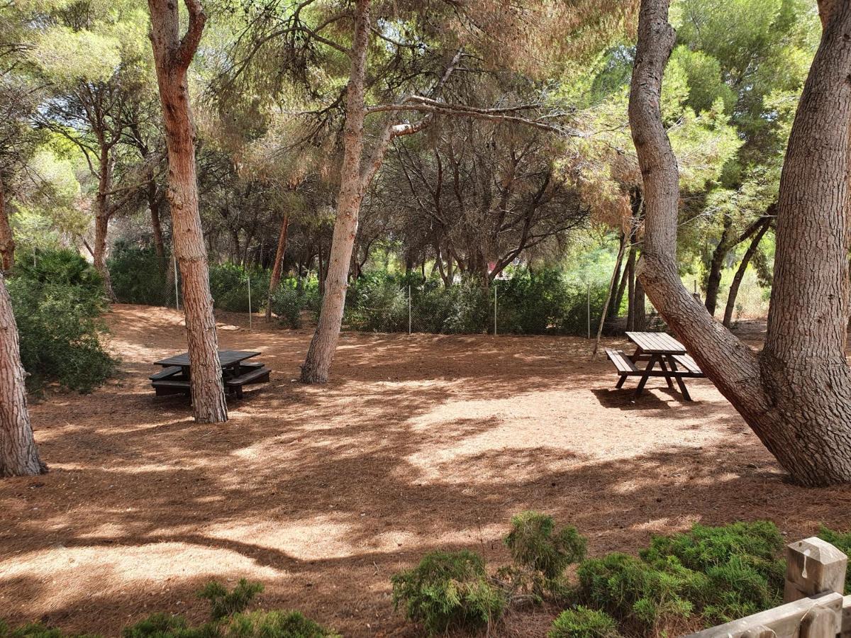 Apartment In Campoamor Overlooking The Swimming Pool 외부 사진