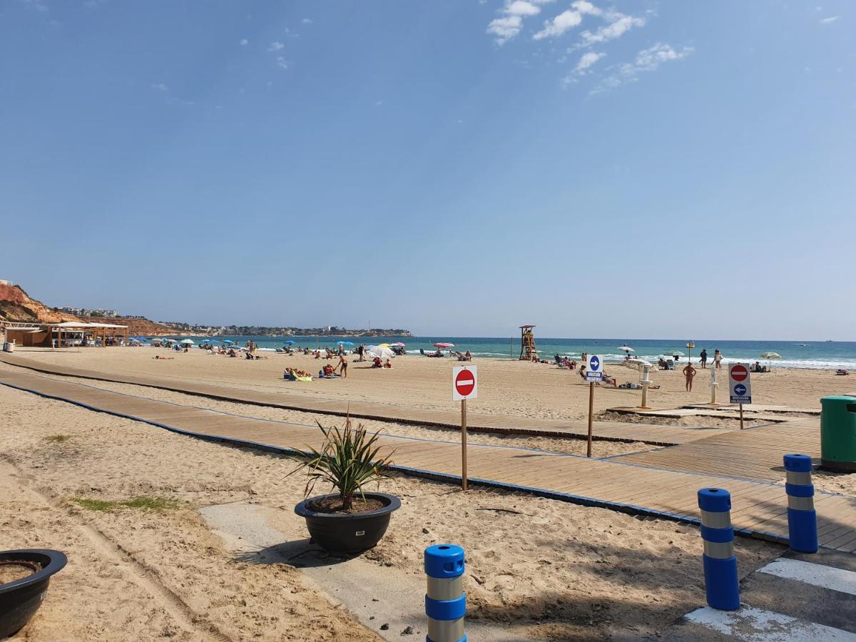 Apartment In Campoamor Overlooking The Swimming Pool 외부 사진